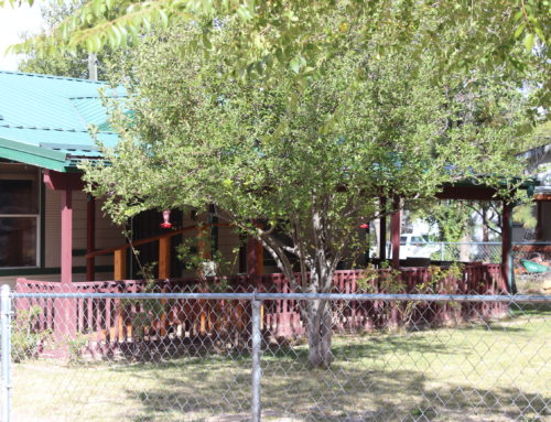 10 N. 5th Drive, Show Low, AZ  (SOLD for $159,000!)
